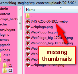 winscp shows only the original image as thumbnails are missing