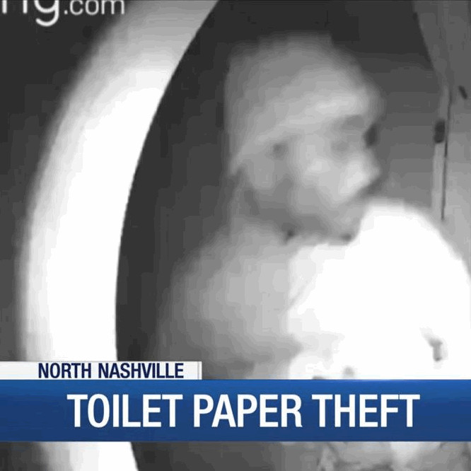 toilet paper theft